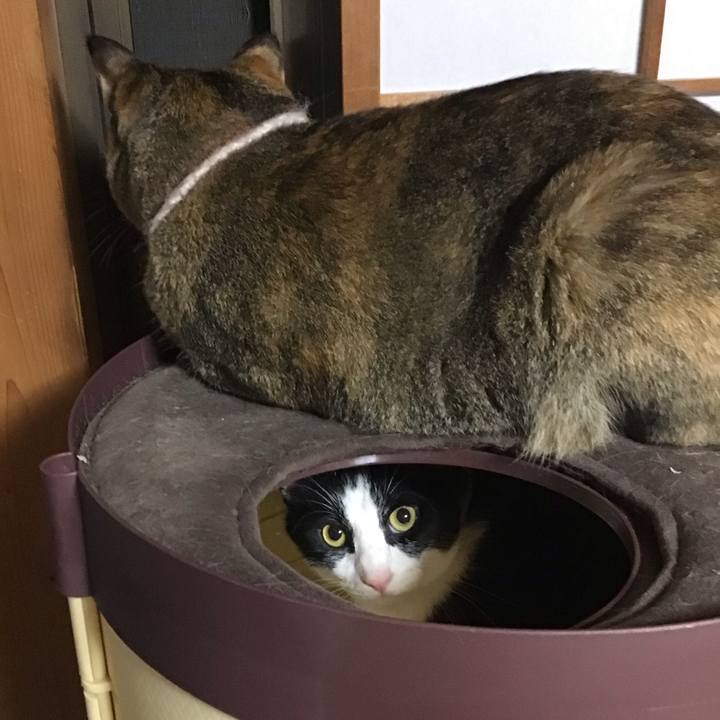 21f8be16 dfac 4b04 bc8a 5b07a364a476 1692448203898