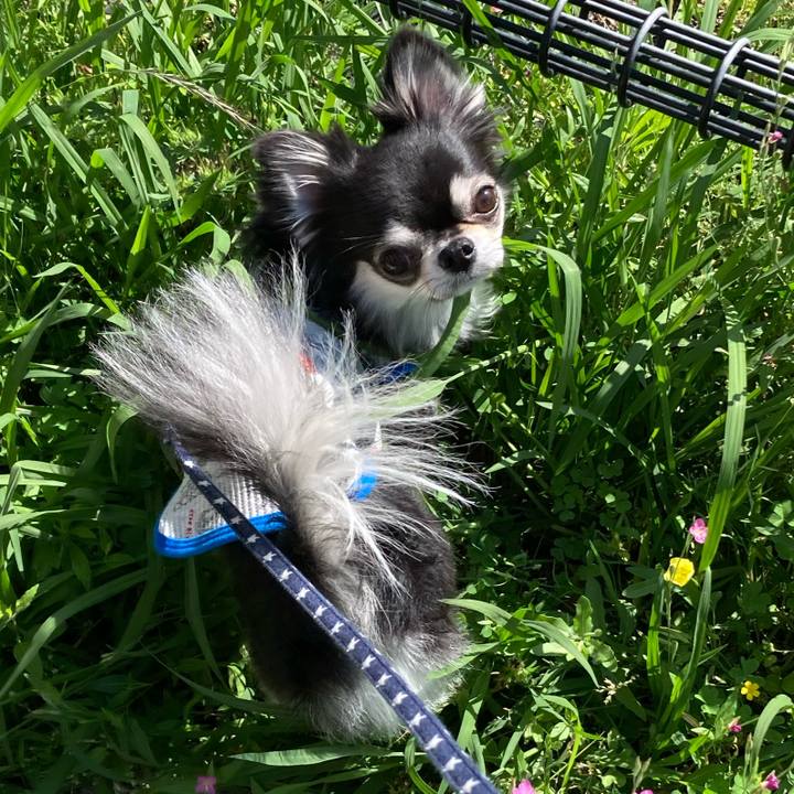 21f90283 dbdd 46d2 b2ab 0a75c5391888 1653825726810