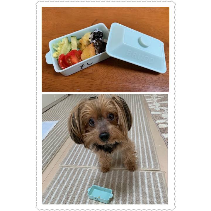 21f93c97 e610 44cd 9030 415863dd4d1a 1583724278935