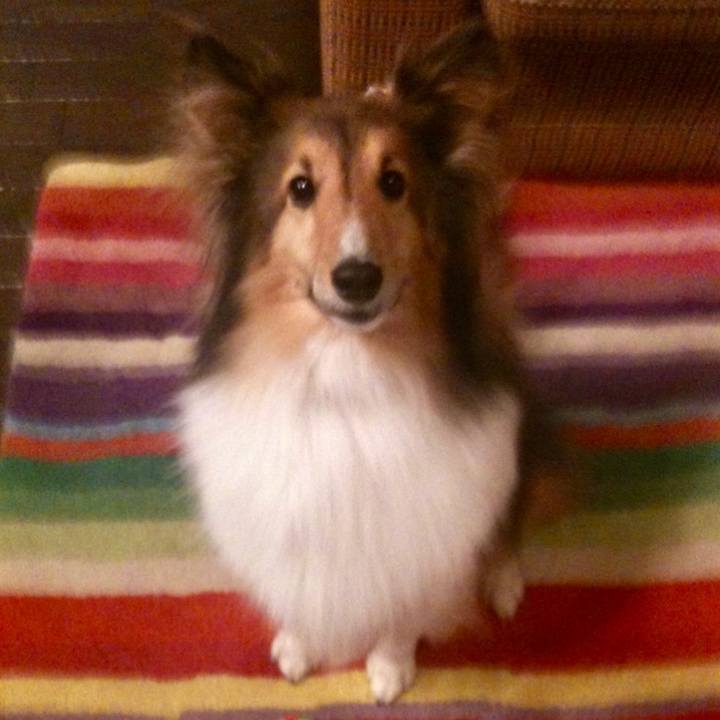 21f95f18 b180 4571 bd36 153b994bd364 1512954539201