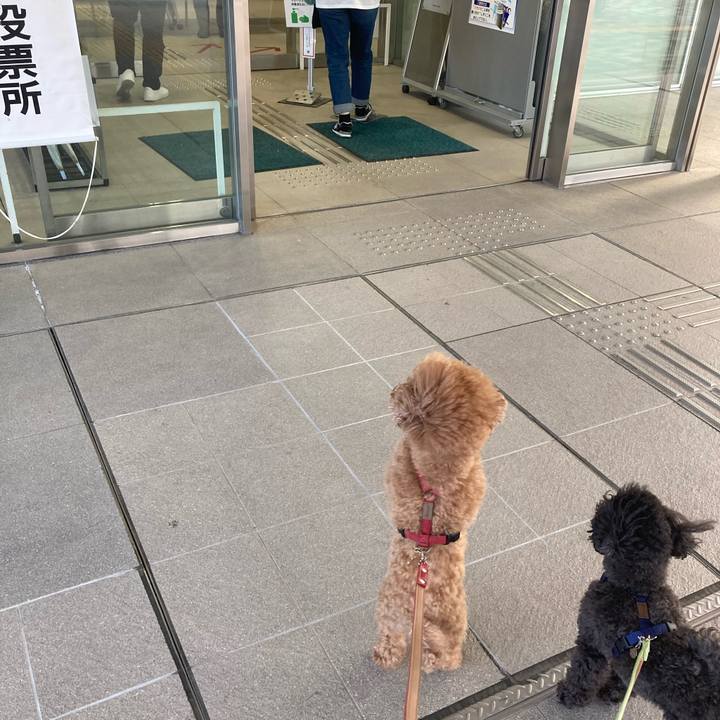 21f96e8d 1517 49ee bee6 ff837cad3fe2 1619422873462