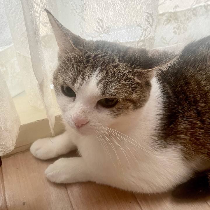 21f9ad70 32bf 484e b46f e64634f733cb 1632864127374