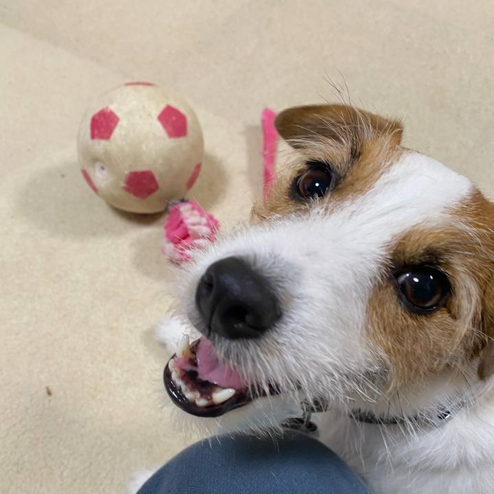 21f9c212 7906 4442 ab89 d507ee4c540b 1745065039016