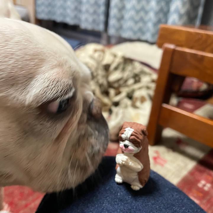 21f9d2b9 f03c 4654 abe8 72f2b536c7ce 1738105884407