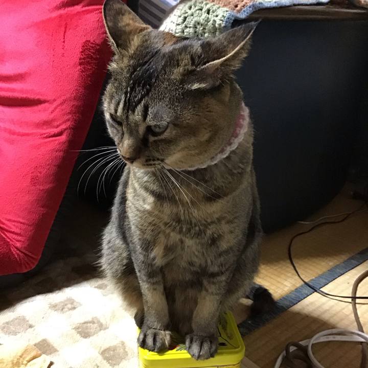 21f9f82f 1d32 4955 87d3 c04bde5340d6 1675170431982