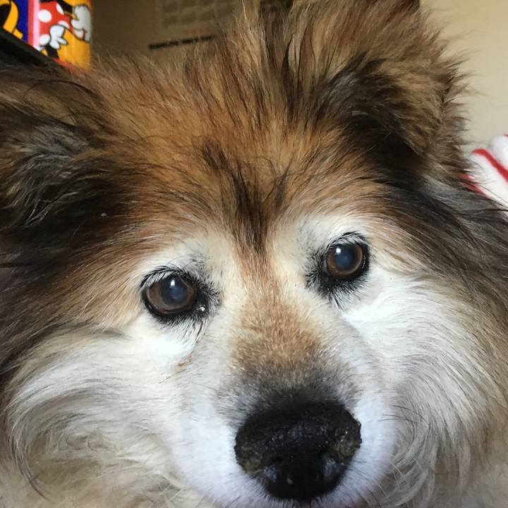 21fa2e66 dd31 4e35 9677 e5082beda22c 1583602133195