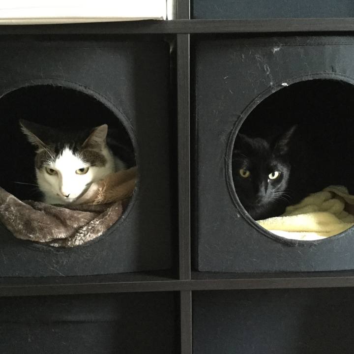 21fa46a7 3f3c 44c7 989c 8f875f260622 1525614420927