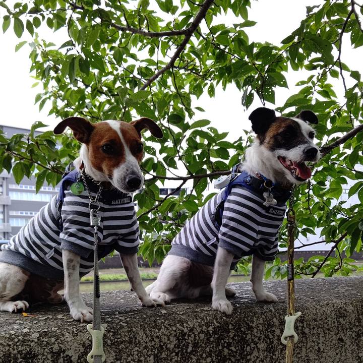 21fa494a 9dfc 4fb0 924d 734e22a1664c 1625282464653