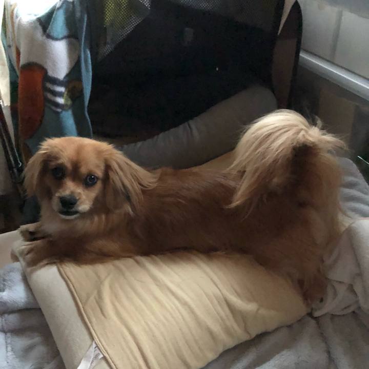 21fa70ee 6df2 466c b1d6 bc014aa341e1 1524607437333