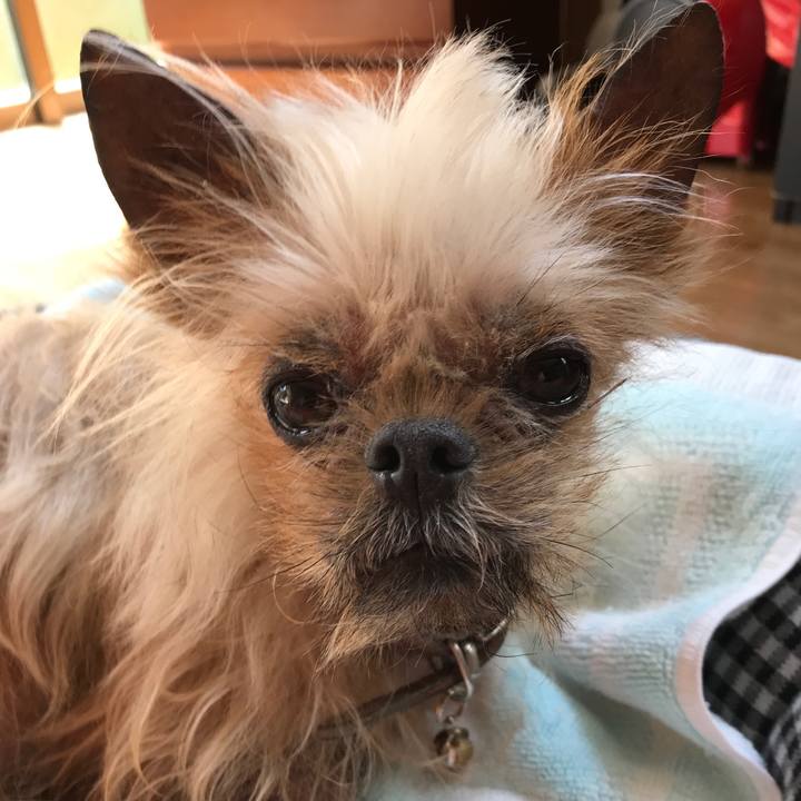 21facfd2 f8ea 4c84 aaea 3db091bb0cd4 1526431630869