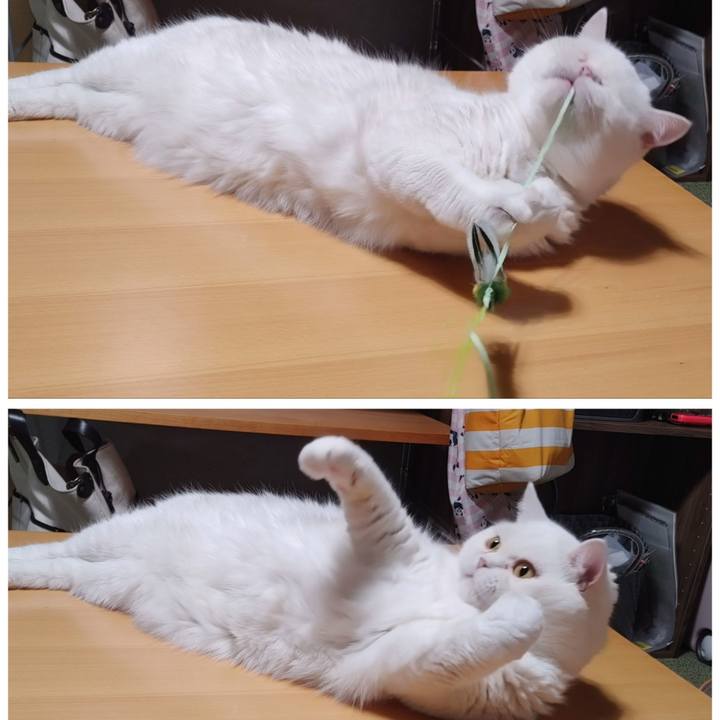 21fad472 d3e7 4eac be28 15d401285d9f 1634384735023