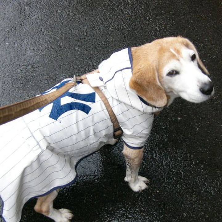 21fb0083 dce2 4784 832b 50349221c348 1658880639707