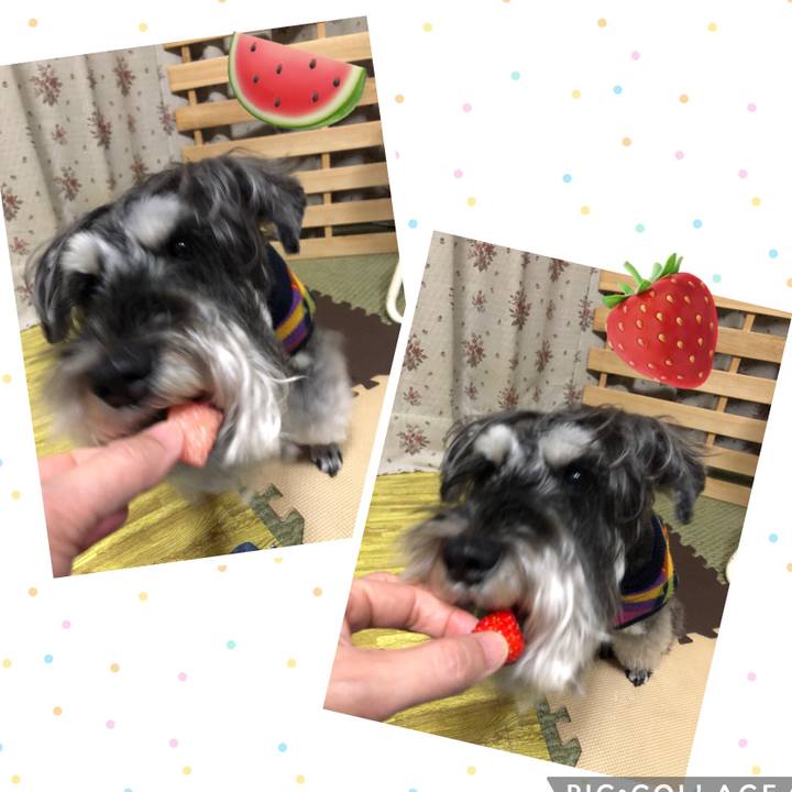 21fb3cb2 7969 45cf 888f 826f038f9fbc 1683468424978