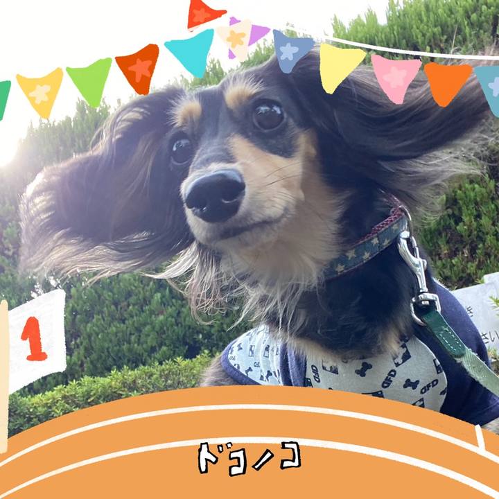 21fb4135 752a 4292 8015 bccba01e1617 1762052344589