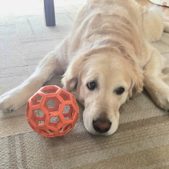 21fb4ff7 0899 4d13 bd80 785a145768ec 1523674313199