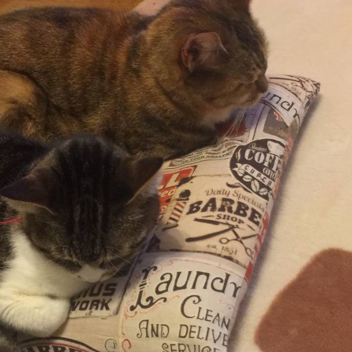 21fb64ee d980 4653 adeb 745f5c179ce5 1553270655957