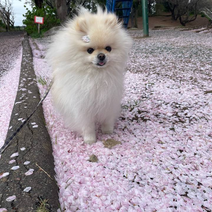 21fb66f0 3591 49f4 893d 50dad7fe392a 1649114804960