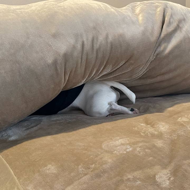 21fb89f2 bc62 4b55 8736 8ba6aa509046 1644965422612