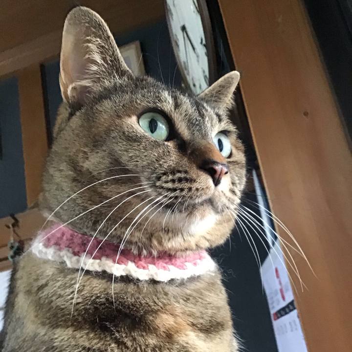 21fb99dc a759 49c6 b17a 5bf00ab035ed 1711535122467