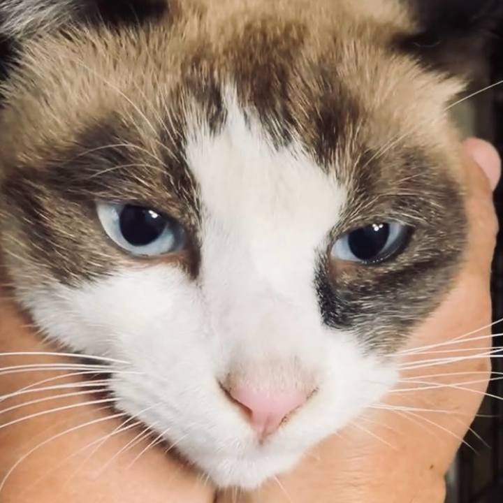 21fbc05b 3392 4f59 874d de500cbf6d5f 1731900979813