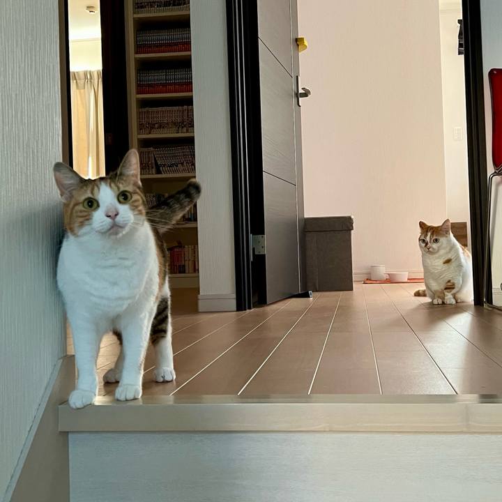 21fbc6a1 d402 44c8 b4b3 c8f966482e1f 1759289805318