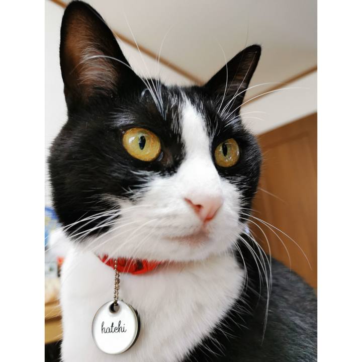 21fbcf56 abd4 4a57 ba7b 8ed431fedffc 1665463685692