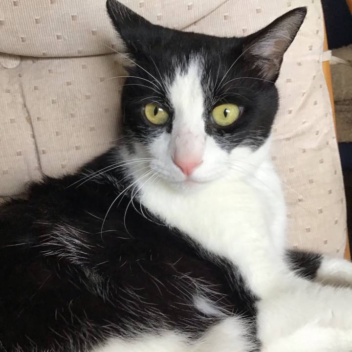 21fbd987 0d4b 492e 8897 507b5d92f1a3 1751361335795