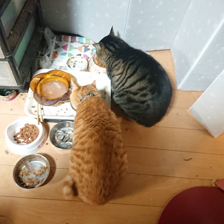 21fbfd48 27dd 4b85 bca1 f48599f15c41 1640174282595