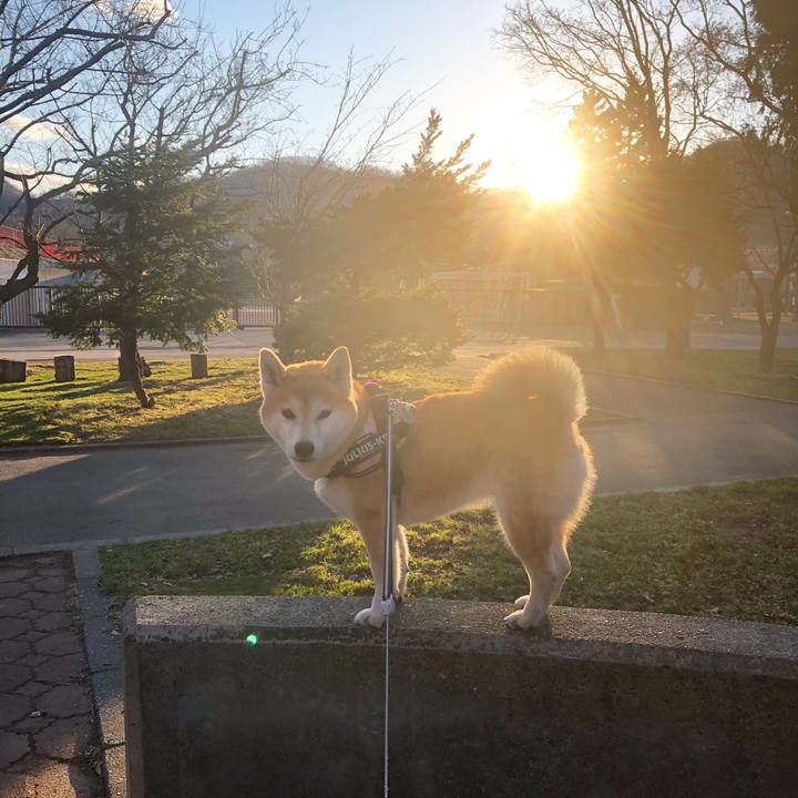 21fc1ede c45e 4901 9aa7 ac2e6530f45c 1587043269605