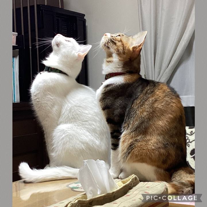 21fc5323 6385 4471 a123 a897aa52d5d6 1668293003159