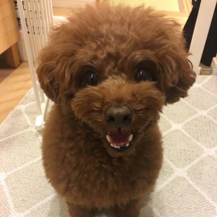 21fc950b 6a58 4fee 8895 23781cbc9ed3 1539213433291