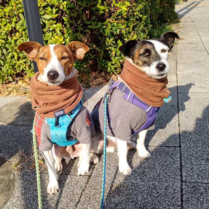 21fce95d e8cd 4a23 9a34 1c68ca628f7a 1670719355189