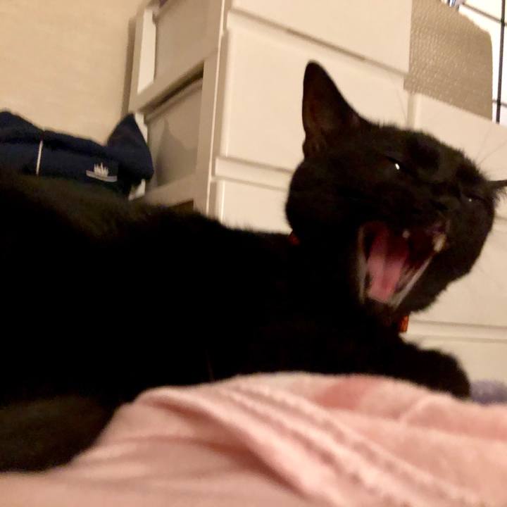 21fce9a3 5f19 4ac0 baa7 96ad4db7ecfd 1561634794686