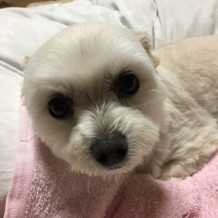 21fd0704 8ef6 4251 baef 3f2e4c31f779 1556618243889