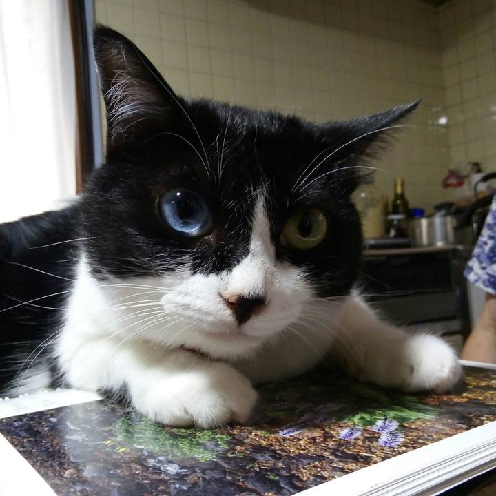 21fd799f b390 4f29 adb8 5db6237f6cc4 1531818758360