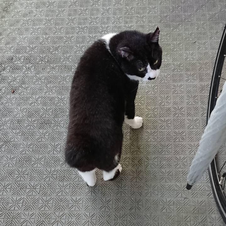 21fd9eb0 f6c6 46e1 8c89 4491ef532bf1 1660440485296