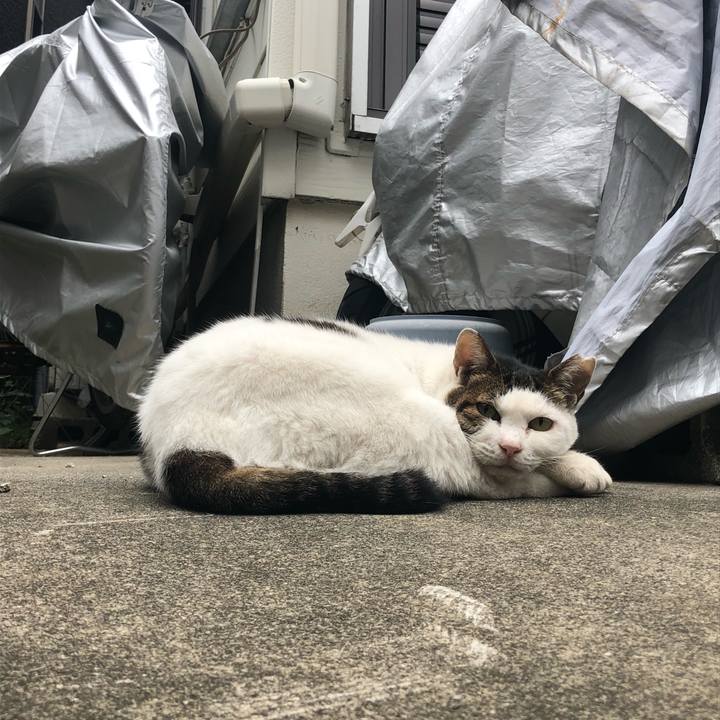 21fde90e a543 4231 bb6f b2a42b25f14a 1569075148550