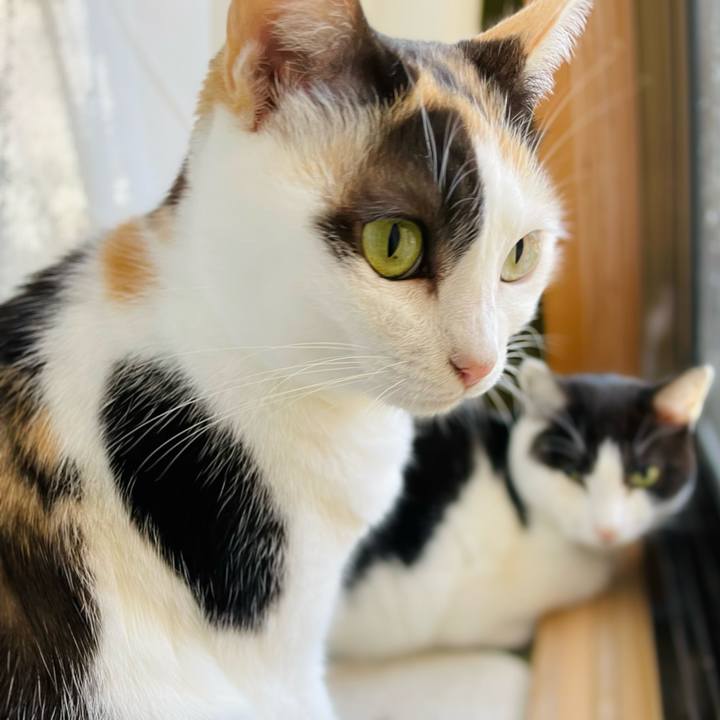 21fdfae3 b6c4 4a78 9b9b 372a8ff37004 1638671596165