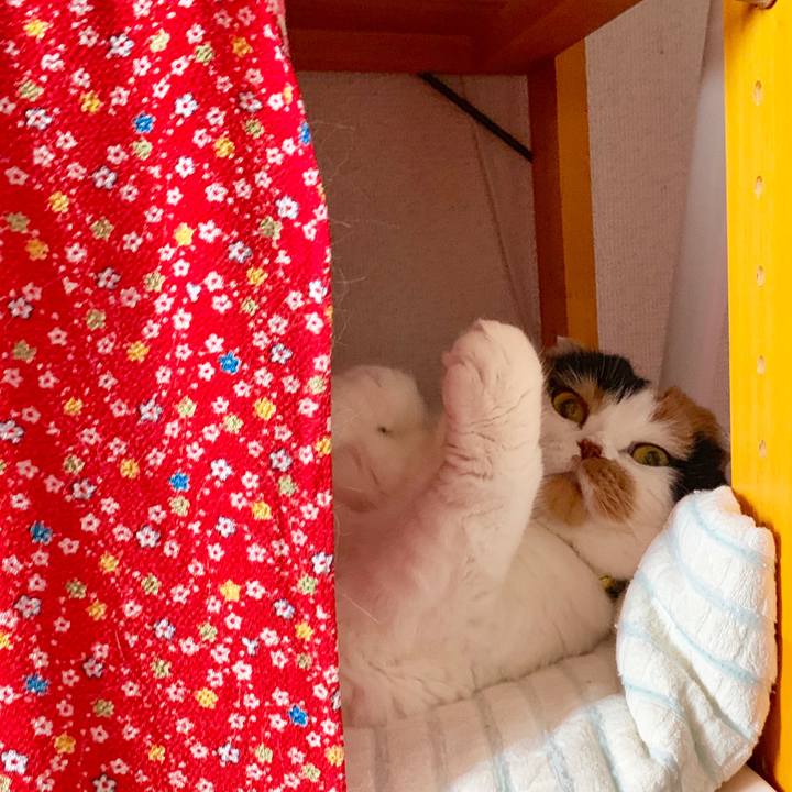 21fe0c91 3103 444c 950d c814296116fa 1562802776081