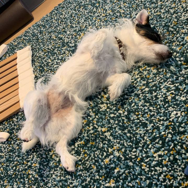 21fe109e cfc0 4c46 967b df185e256745 1600838063552