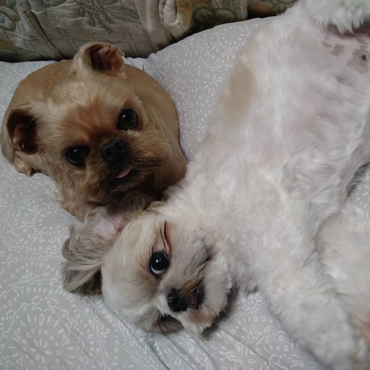 21fe1f9e ad79 4bd7 9645 135b06e9e85f 1630885736331