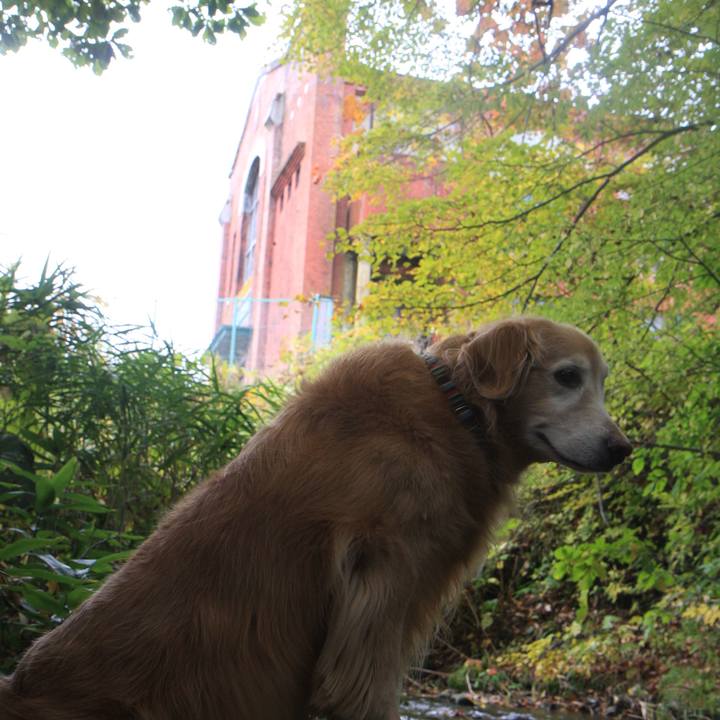 21fe998c 51de 4c9a b872 ed8a8e987635 1761905578228