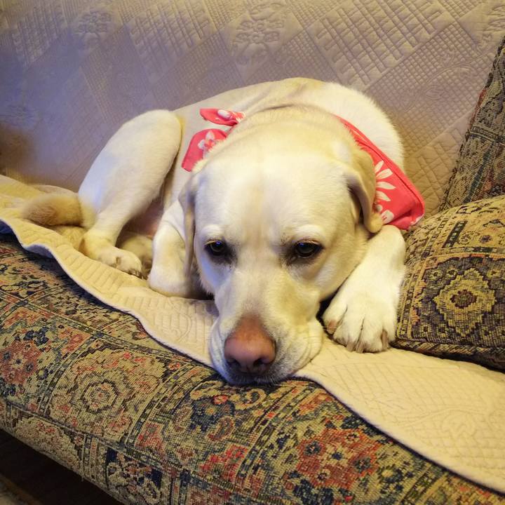 21fea289 6725 4e39 88bc 71d4e7994611 1549525974366