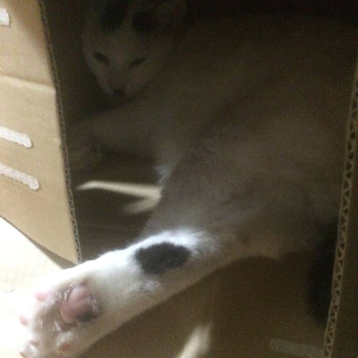 21fec4c7 5777 4258 ae09 659facaa3abc 1565957919978