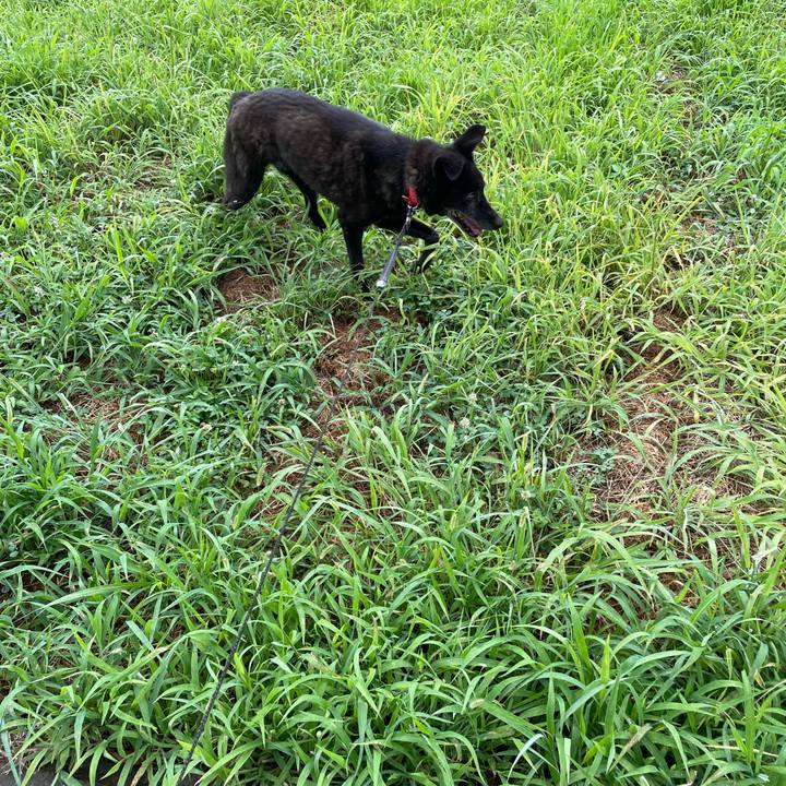 21fedac6 f28a 47d0 b978 3c85730453c1 1723778656185