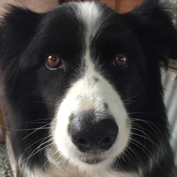 21fef1e1 881b 46ff 9e72 050aed55a833 1536971093830