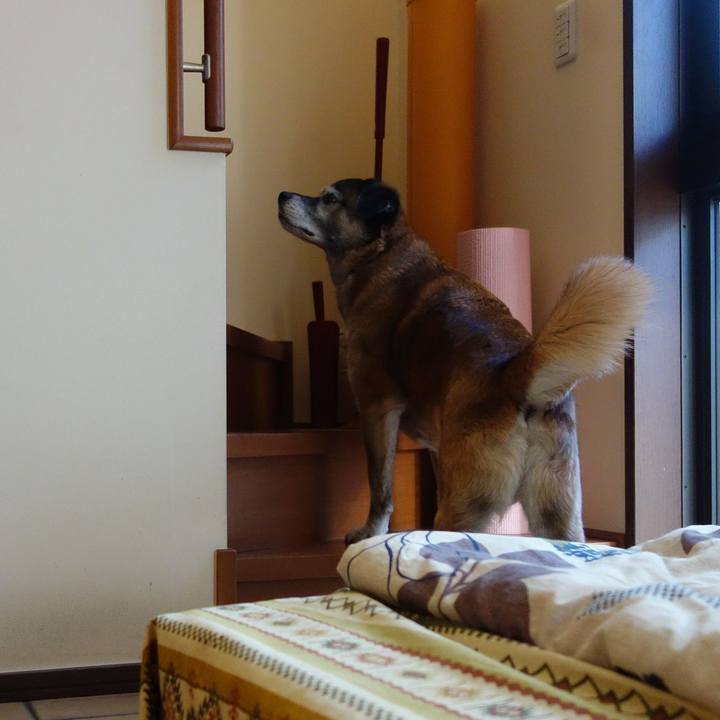 21fef435 fc0a 4eea a17f dae4469c8900 1552786438890