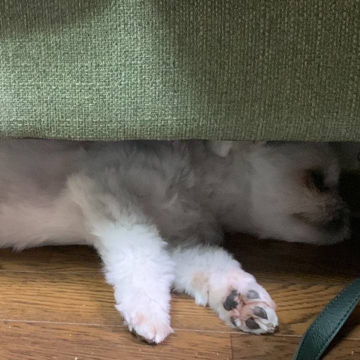 21ff6ac4 5449 4e06 9ff9 c4fd76b89118 1693999149273