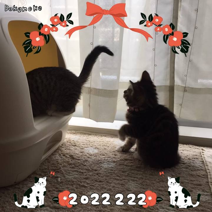 21ff8d94 6cd6 4ba9 9619 77af445f215f 1645540950456