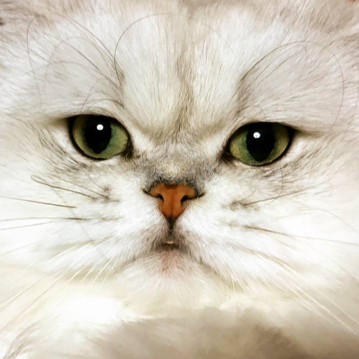 21ffd327 87d3 4192 9054 1f93c01300d5 1509024405580